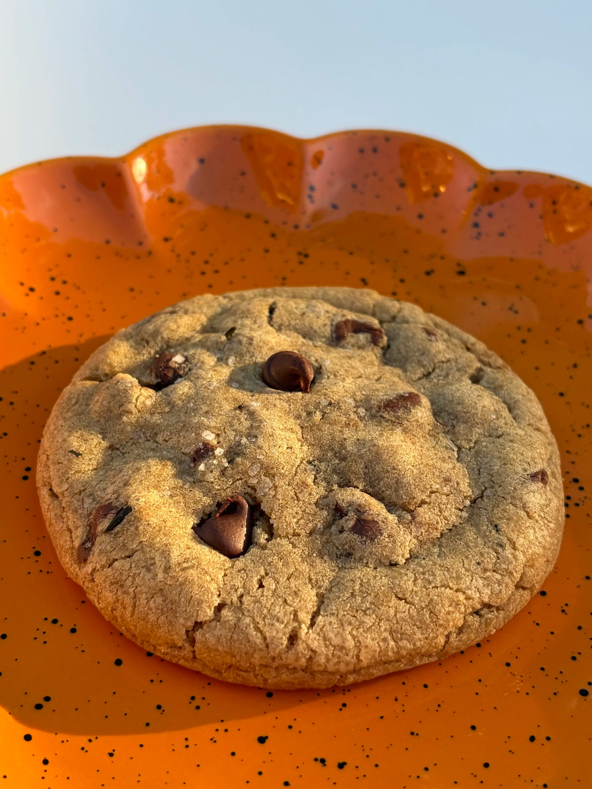 Fall Cookie Club Box